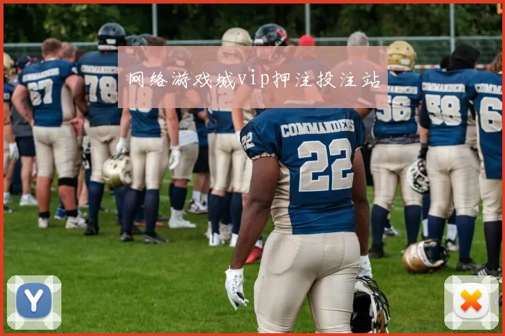 网络游戏城vip押注投注站