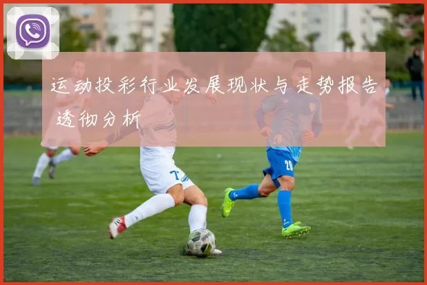 运动投彩行业发展现状与走势报告 透彻分析
