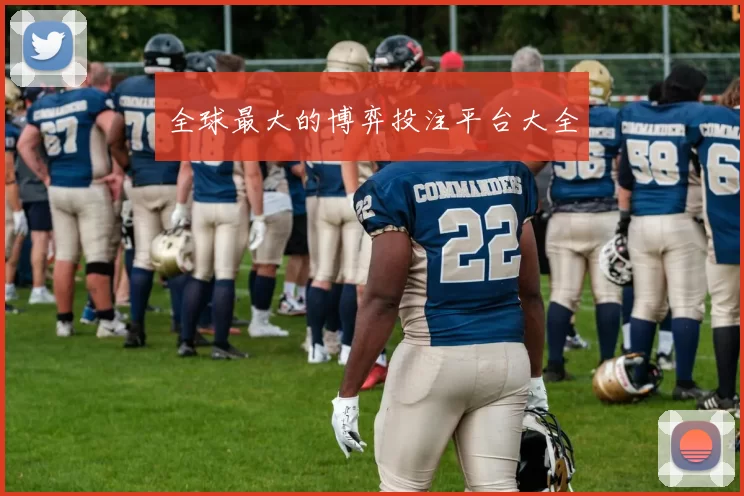 全球最大的博弈投注平台大全